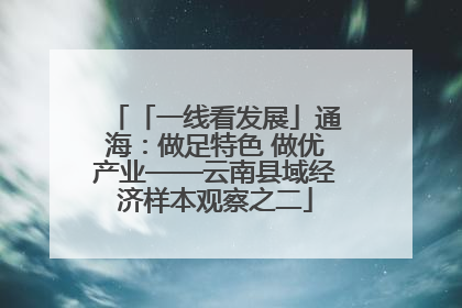 「一线看发展」通海：做足特色 做优产业——云南县域经济样本观察之二