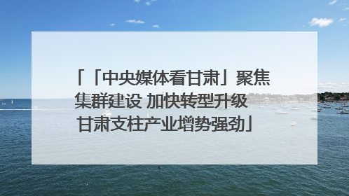 「中央媒体看甘肃」聚焦集群建设 加快转型升级 甘肃支柱产业增势强劲