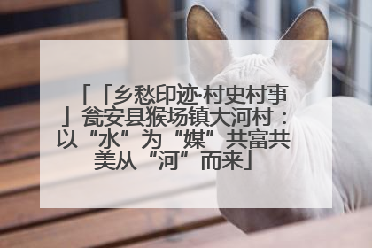「乡愁印迹·村史村事」瓮安县猴场镇大河村：以“水”为“媒”共富共美从“河”而来
