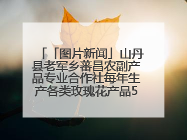 「图片新闻」山丹县老军乡蕃昌农副产品专业合作社每年生产各类玫瑰花产品500多吨