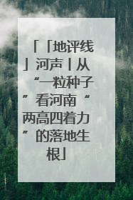 「地评线」河声丨从“一粒种子”看河南“两高四着力”的落地生根