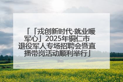 「戎创新时代·就业暖军心」2025年铜仁市退役军人专场招聘会暨直播带岗活动顺利举行