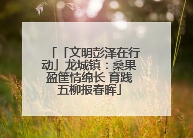 「文明彭泽在行动」龙城镇：桑果盈筐情绵长 育践五柳报春晖