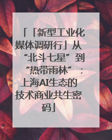 「新型工业化媒体调研行」从“北斗七星”到“热带雨林”：上海AI生态的技术商业共生密码