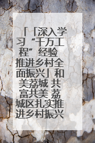 「深入学习“千万工程”经验 推进乡村全面振兴」和美荔城 共富共美 荔城区扎实推进乡村振兴工作