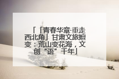 「青春华章·重走西北角」甘肃文旅嬗变：荒山变花海，文创“语”千年