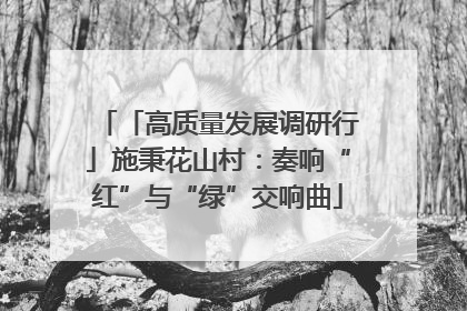 「高质量发展调研行」施秉花山村：奏响“红”与“绿”交响曲