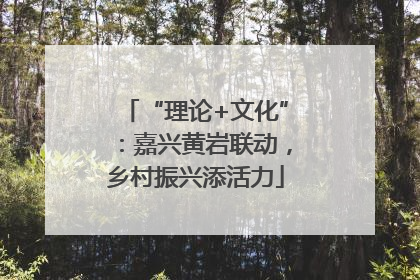 “理论+文化”：嘉兴黄岩联动，乡村振兴添活力