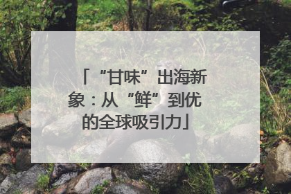 “甘味”出海新象：从“鲜”到优的全球吸引力