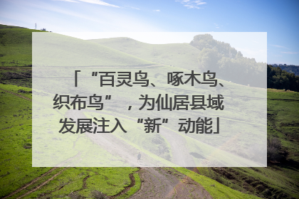 “百灵鸟、啄木鸟、织布鸟”，为仙居县域发展注入“新”动能