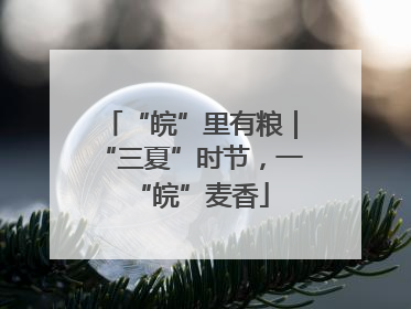 “皖”里有粮｜“三夏”时节，一“皖”麦香