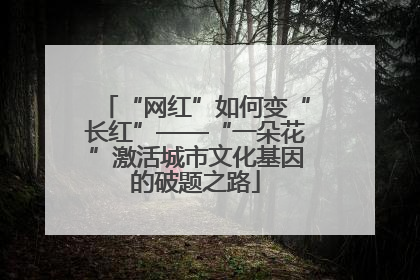 “网红”如何变“长红”——“一朵花”激活城市文化基因的破题之路