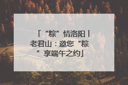 “粽”情洛阳丨老君山：邀您“粽”享端午之约