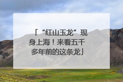 “红山玉龙”现身上海！来看五千多年前的这条龙