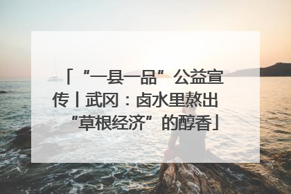 “一县一品”公益宣传丨武冈：卤水里熬出“草根经济”的醇香
