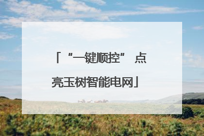 “一键顺控” 点亮玉树智能电网