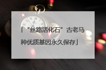 “丝路活化石”古老马种优质基因永久保存