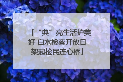 “典”亮生活护美好 白水检察开放日架起检民连心桥