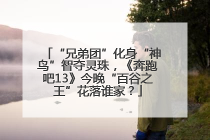“兄弟团”化身“神鸟”智夺灵珠，《奔跑吧13》今晚“百谷之王”花落谁家？