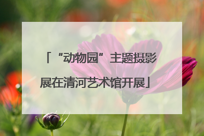 “动物园”主题摄影展在清河艺术馆开展