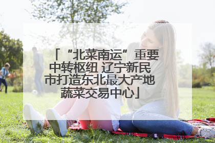 “北菜南运”重要中转枢纽 辽宁新民市打造东北最大产地蔬菜交易中心