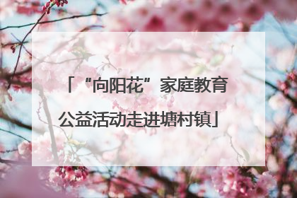 “向阳花”家庭教育公益活动走进塘村镇