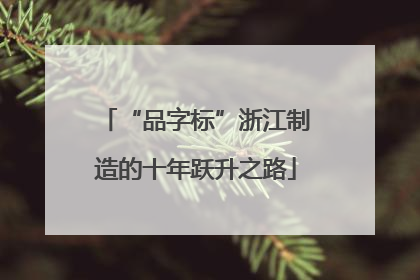 “品字标”浙江制造的十年跃升之路
