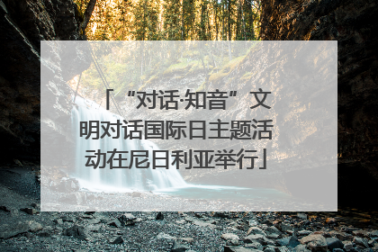“对话·知音”文明对话国际日主题活动在尼日利亚举行