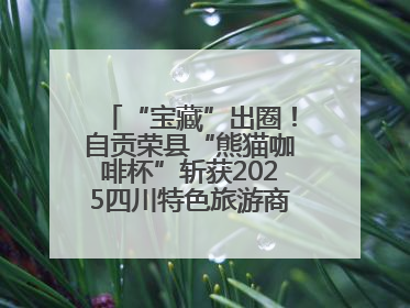 “宝藏”出圈！自贡荣县“熊猫咖啡杯”斩获2025四川特色旅游商品大赛铜奖