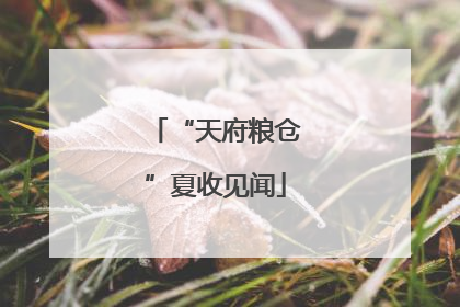 “天府粮仓”夏收见闻