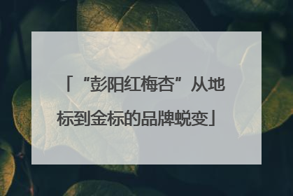 “彭阳红梅杏”从地标到金标的品牌蜕变