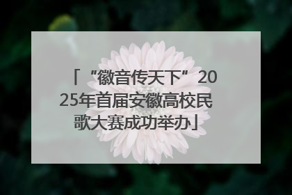 “徽音传天下”2025年首届安徽高校民歌大赛成功举办