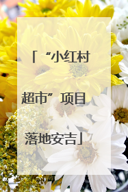 “小红村超市”项目落地安吉