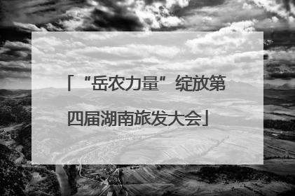 “岳农力量”绽放第四届湖南旅发大会
