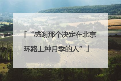 “感谢那个决定在北京环路上种月季的人”