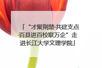 “才聚荆楚·共建支点·百县进百校联万企”走进长江大学文理学院
