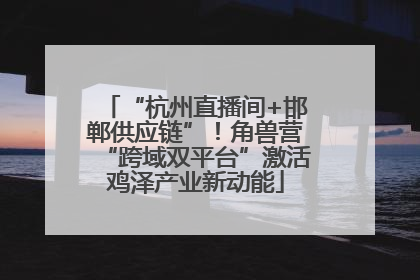 “杭州直播间+邯郸供应链”！角兽营“跨域双平台”激活鸡泽产业新动能