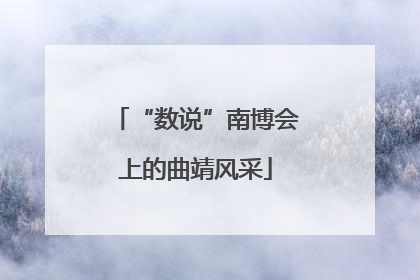 “数说”南博会上的曲靖风采