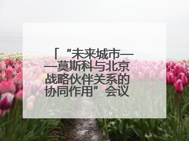 “未来城市——莫斯科与北京战略伙伴关系的协同作用”会议在北京举行