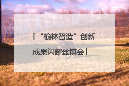 “榆林智造”创新成果闪耀丝博会