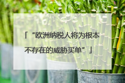 “欧洲纳税人将为根本不存在的威胁买单”
