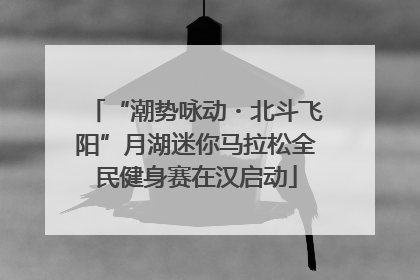 “潮势咏动・北斗飞阳”月湖迷你马拉松全民健身赛在汉启动