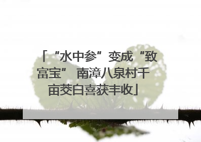 “水中参”变成“致富宝” 南漳八泉村千亩茭白喜获丰收