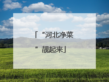 “河北净菜”靓起来