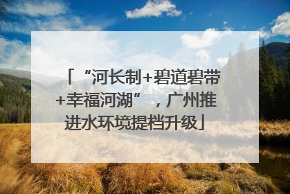 “河长制+碧道碧带+幸福河湖”，广州推进水环境提档升级