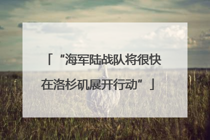 “海军陆战队将很快在洛杉矶展开行动”