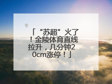 “苏超”火了！金陵体育直线拉升，几分钟20cm涨停！