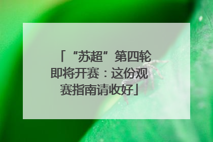 “苏超”第四轮即将开赛：这份观赛指南请收好