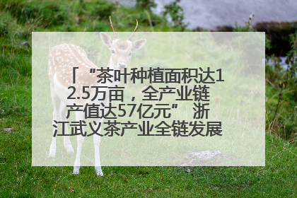 “茶叶种植面积达12.5万亩，全产业链产值达57亿元” 浙江武义茶产业全链发展“加速度”