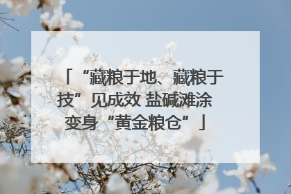 “藏粮于地、藏粮于技”见成效 盐碱滩涂变身“黄金粮仓”